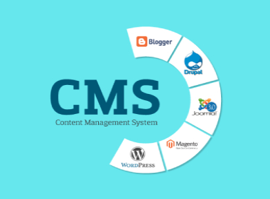 Most Popular CMS Platforms