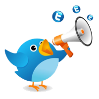 Twitter Marketing Services in India - Digital Strategy Consultants