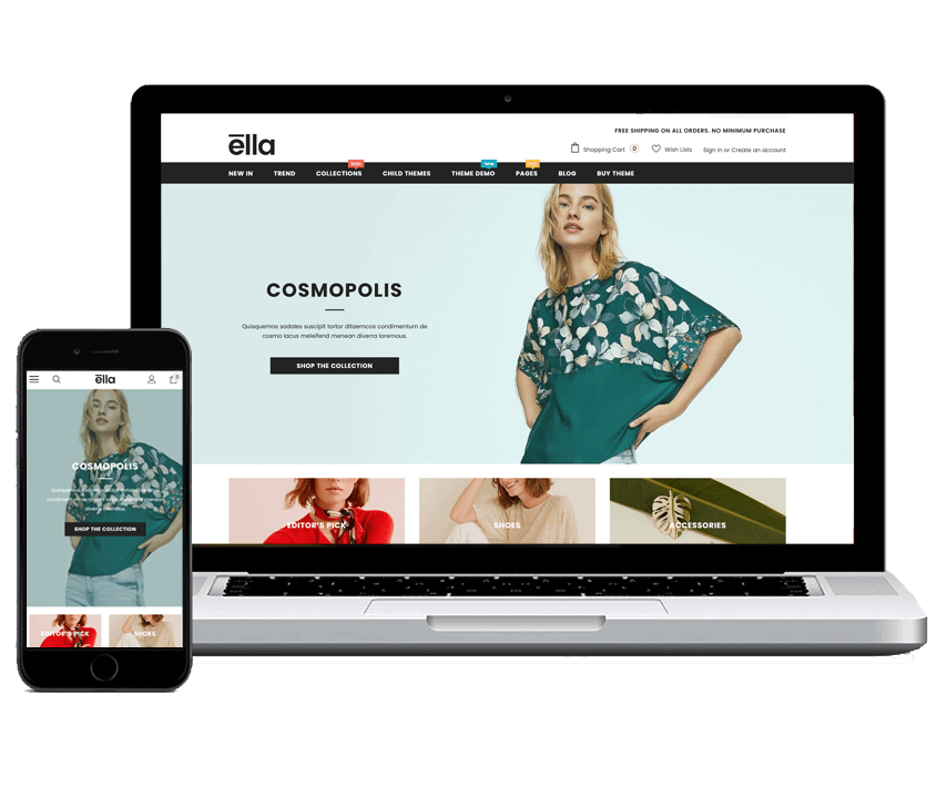 Custom Websites development company – DSC
