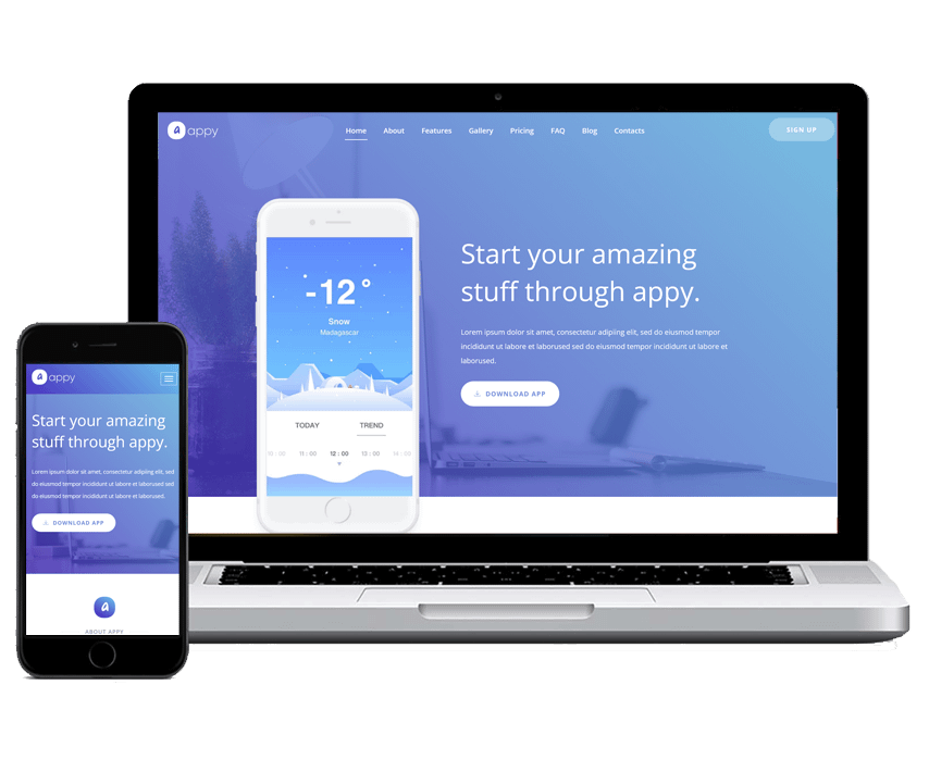 Website and Mobile Applications development Company – DSC
